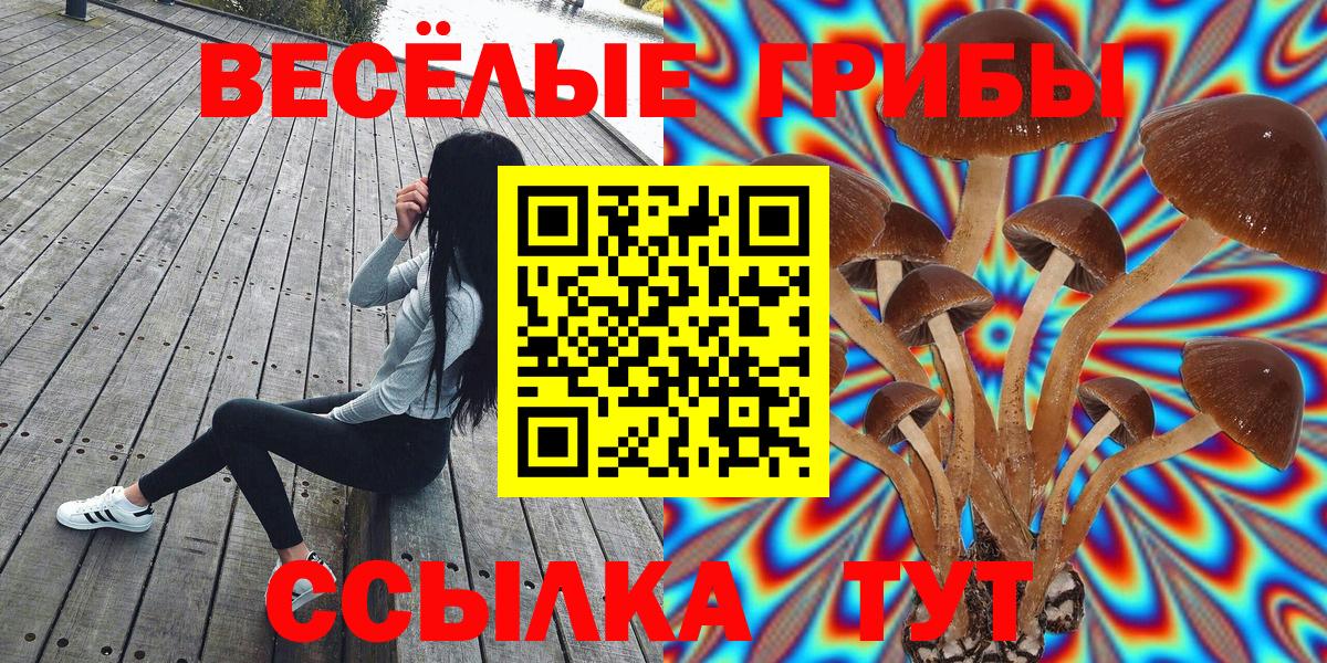 Псилоцибиновые грибы прущие грибы  Вход с VPN  купить  сайты  Гусиноозёрск 